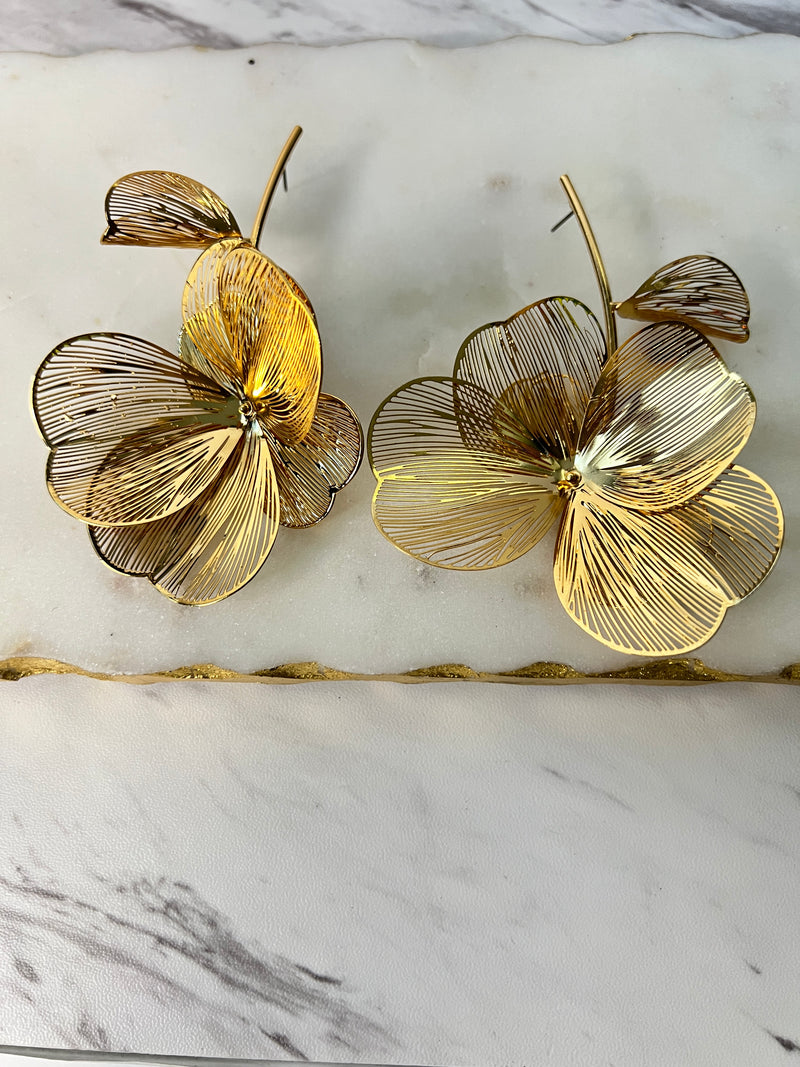 Petals